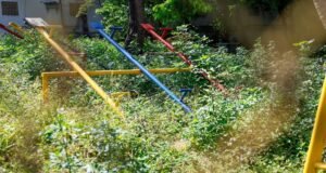 Abandono del Parque La Yuquita: Vecinos de Santo Domingo Exigen Intervención