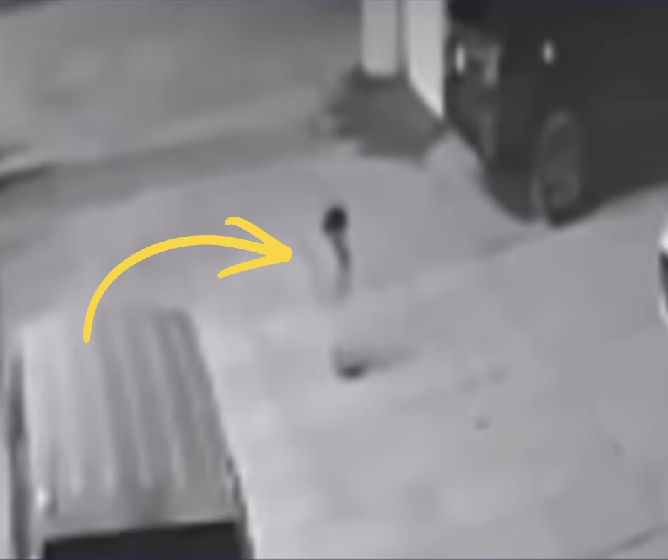 Secuestro y Abuso de Niña de 3 Años Sacude a República Dominicana