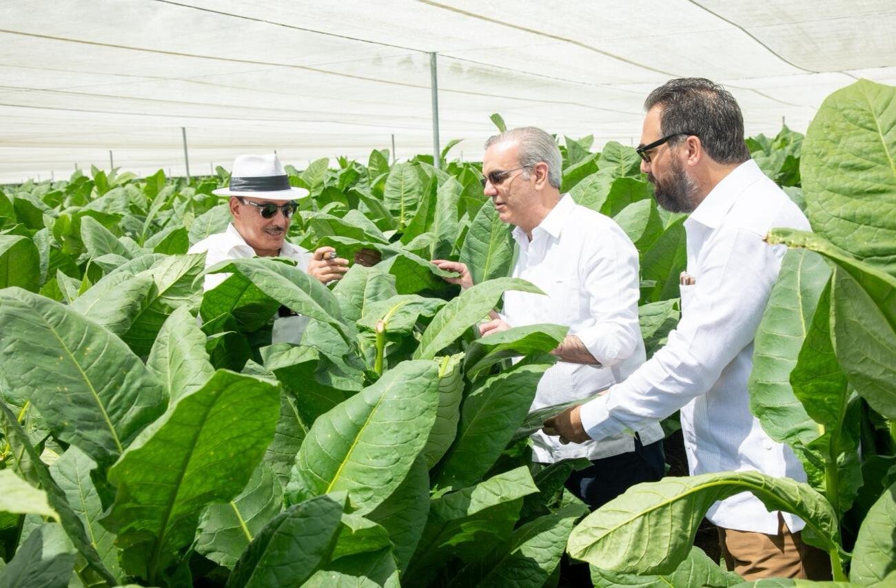 Presidente Abinader Visita Finca Tabacalera en Monte Plata para Impulsar Tecnología